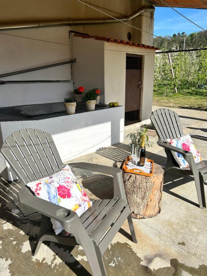 ラメゴ Casa Vicenteヴィラ エクステリア 写真