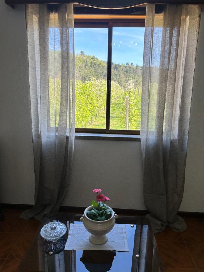 ラメゴ Casa Vicenteヴィラ エクステリア 写真
